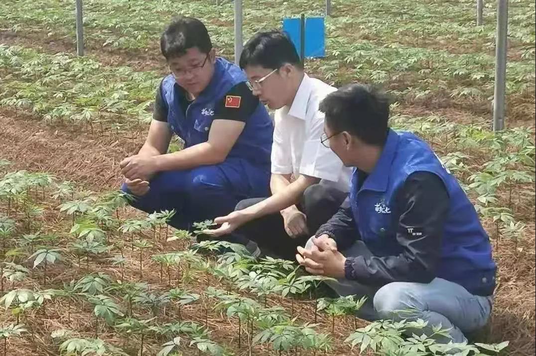 bifa·必发(中国区)唯一官方网站
