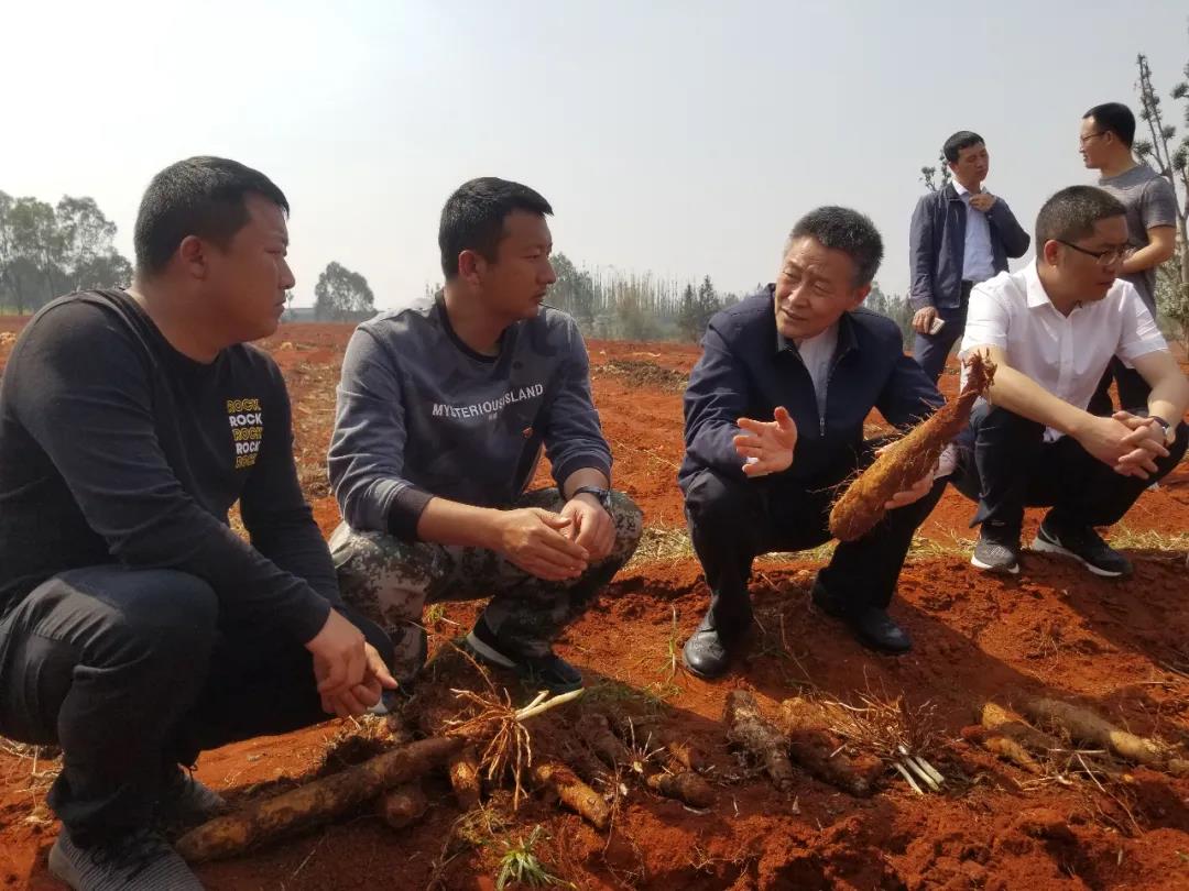 FDE740F93D962E8306716C93921_C23194AA_1D2FD.jpg?e= bifa·必发(中国区)唯一官方网站